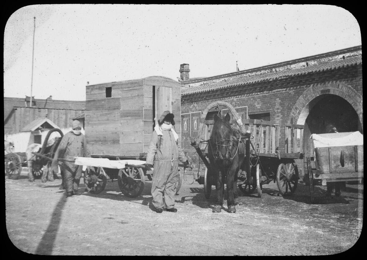 Horses draw wagons with wooden boxes containing people suspected of having plague, the sick, and the dead.