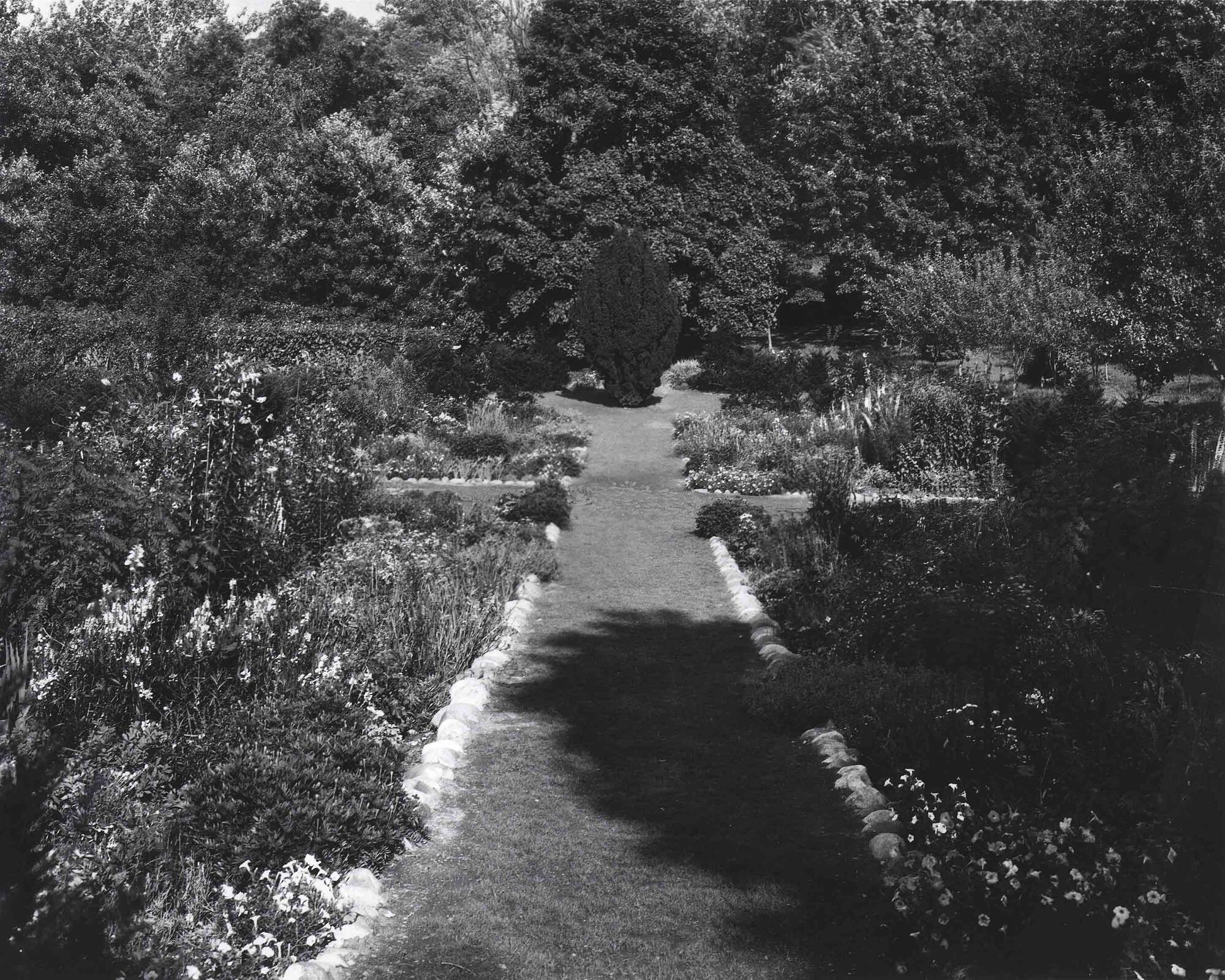 A garden path with borders of shrubs and herbs