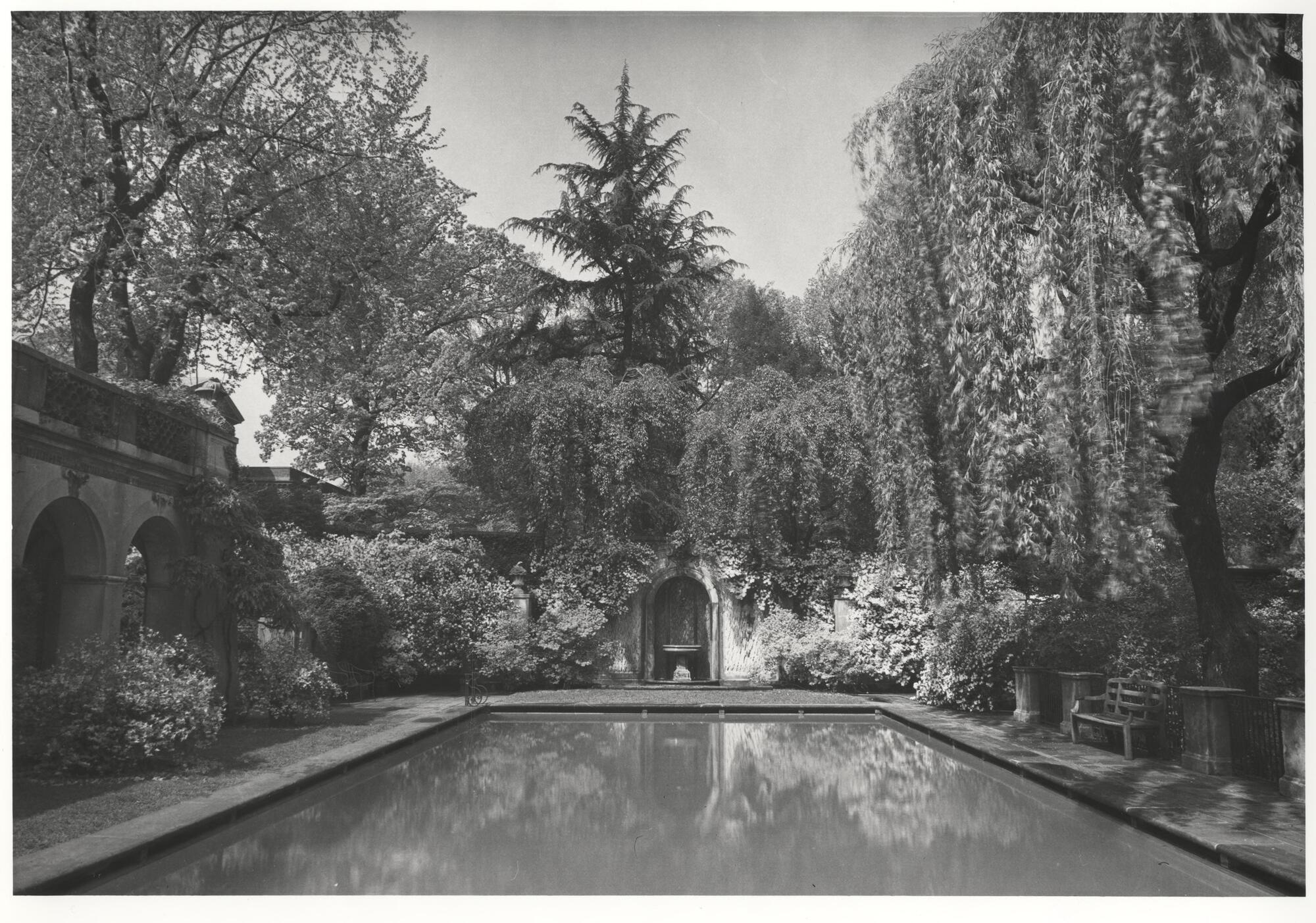 Swimming pool flanked by willows and plantings