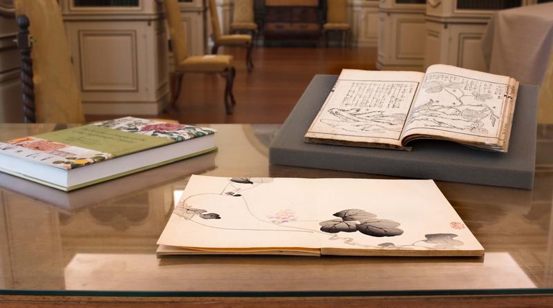 Three books, one open, spread on a table